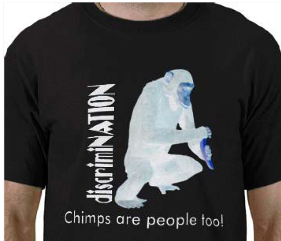 Chimp
